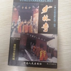 少林寺 嵩山文物名胜大观 丛书