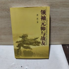 领袖元帅与战友