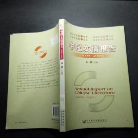中国文情报告（2008-2009）