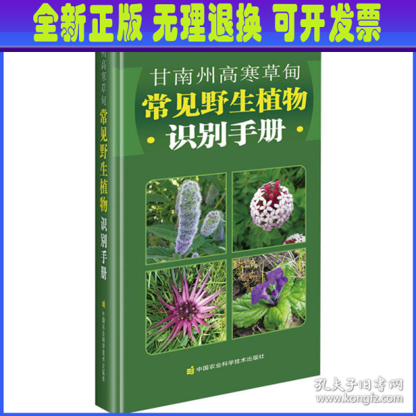 甘南州高寒草甸常见野生植物识别手册