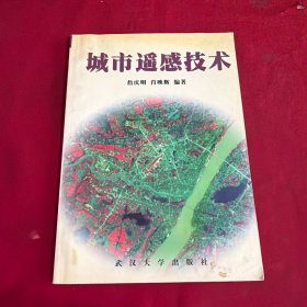 城市遥感技术