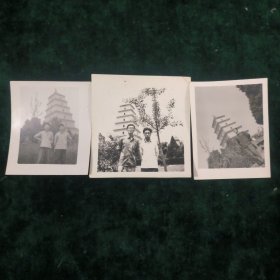 老照片-背景西安大雁塔（三张合售）