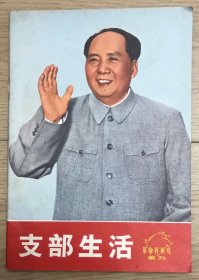 支部生活 革命样板戏画刊