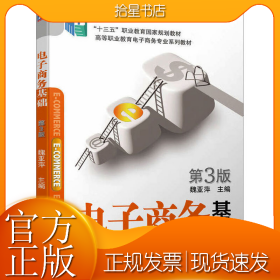 电子商务基础 第3版