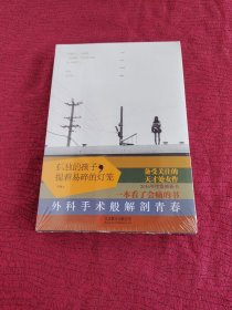 孤独的孩子，提着易碎的灯笼【全新 未开封】