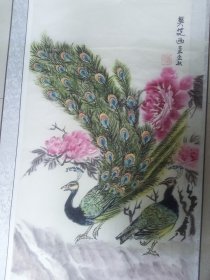 美丽孔雀！就爱小名家精品！仅售画心，买家自鉴工艺品.国画心一件保证纯手绘约50+98cm