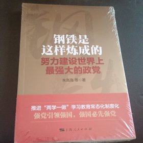钢铁是这样炼成的