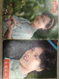 电影介绍1980年10期