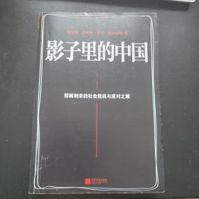 影子里的中国：即将到来的社会危机