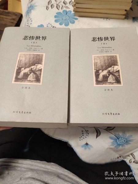 世界文学名著:悲惨世界(全译本)(套装共2册)