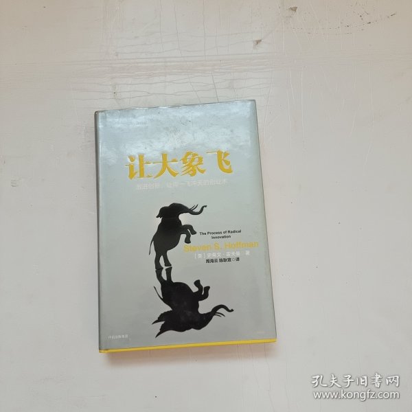 让大象飞:激进创新，让你一飞冲天的创业术