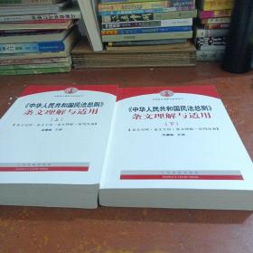 中华人民共和国民法总则 条文理解与适用（套装上下册）