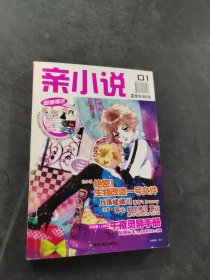 亲小说