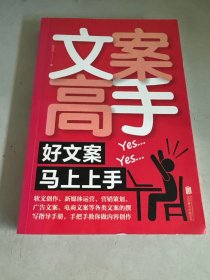 文案高手：好文案马上上手