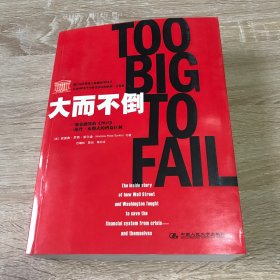 大而不倒：2010年全球政要和首席执行官争相阅读的金融危机启示录