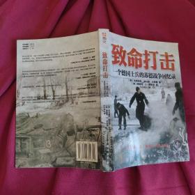 致命打击：一个德国士兵的苏德战争回忆录