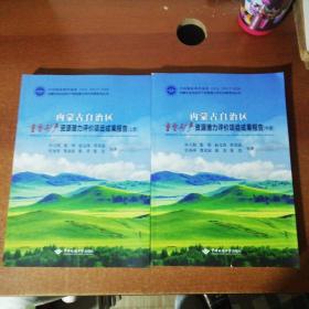 内蒙古自治区重要矿产资源潜力评价项目成果报告(上中册)内蒙古自治区矿产资源潜力评价成果系列丛书