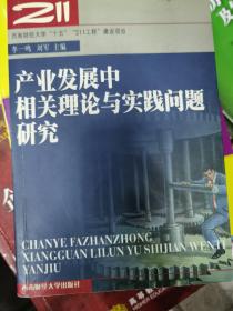 产业发展中相关理论与实践问题研究