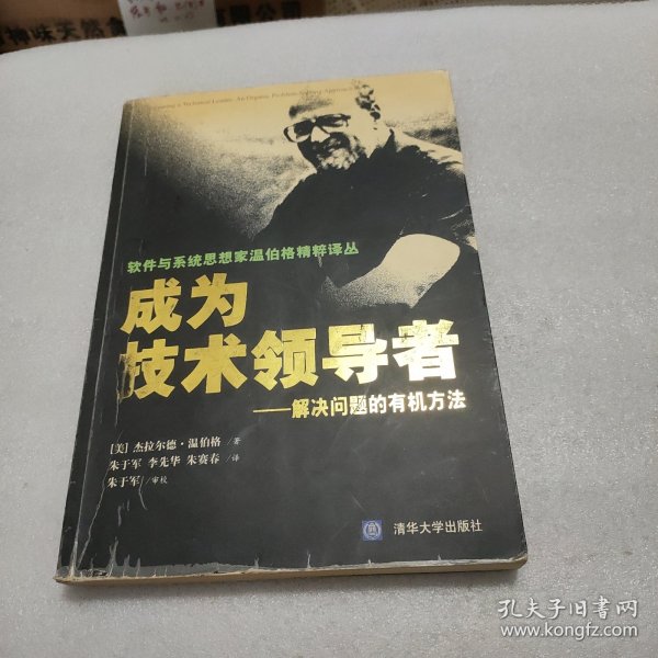 成为技术领导者：解决问题的有机方法