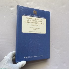 迈向绿色低碳未来:中国能源战略的选择和实践(英文) 精装【未拆封】
