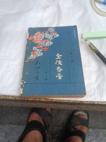 金陵春梦（八）大江东去
