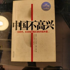 中国不高兴：大时代大目标及我们的内忧外患