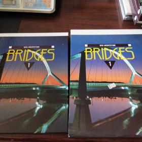 NEW ARCHITECTURE BRIDGES（1、2）