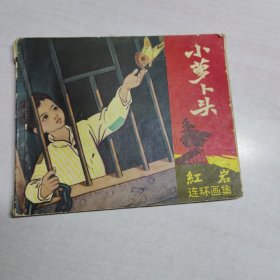 小萝卜头