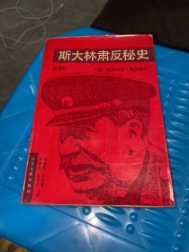 斯大林肃反秘史:全译本