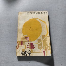 月光织成的网