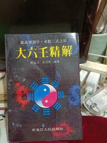 大六王精解