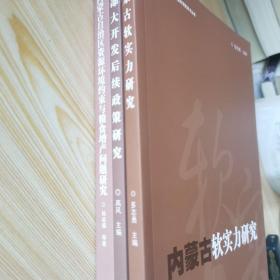 内蒙古社会科学院学术丛书，内蒙古自治区资源环境约束与粮食增产问题研究，西部大开发后续政策研究，内蒙古软实力研究