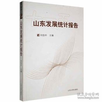 【假一罚四】山东发展统计报告(十一五)刘俭朴9787560737911