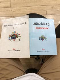 脑活素论文集（一、三）