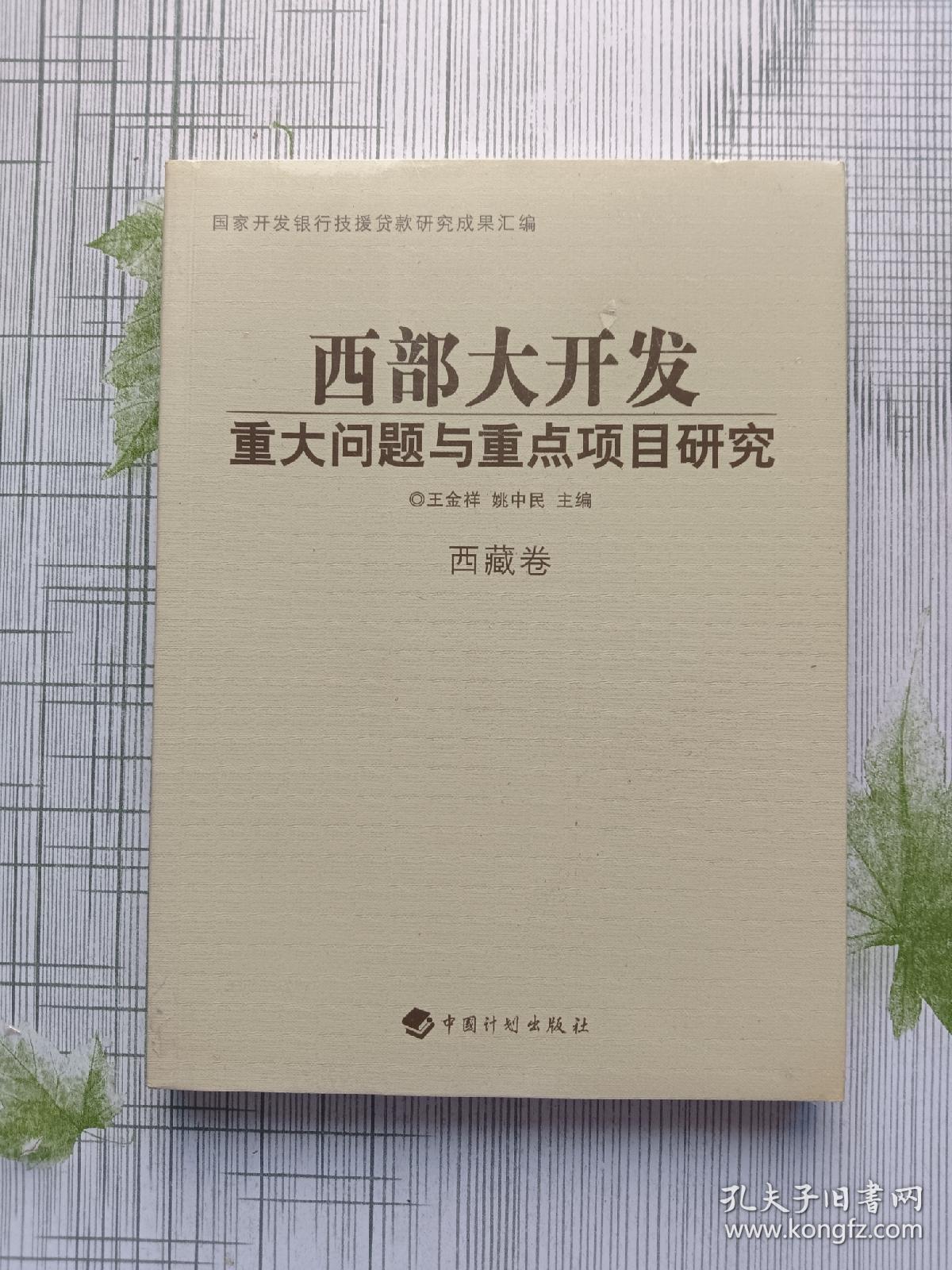 西部大开发 重大问题与重点项目研究 西藏卷