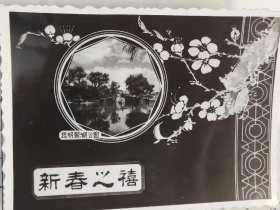 50-60年代“新春之喜”昆明翠湖公园照片中的照片