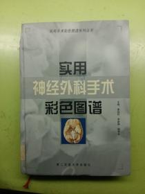 实用神经外科手术彩色图谱——实用手术彩色图谱系列丛书