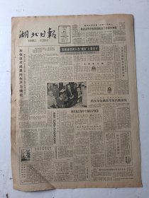 湖北日报1986年5月28日4版