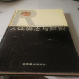 人体姿态与解剖