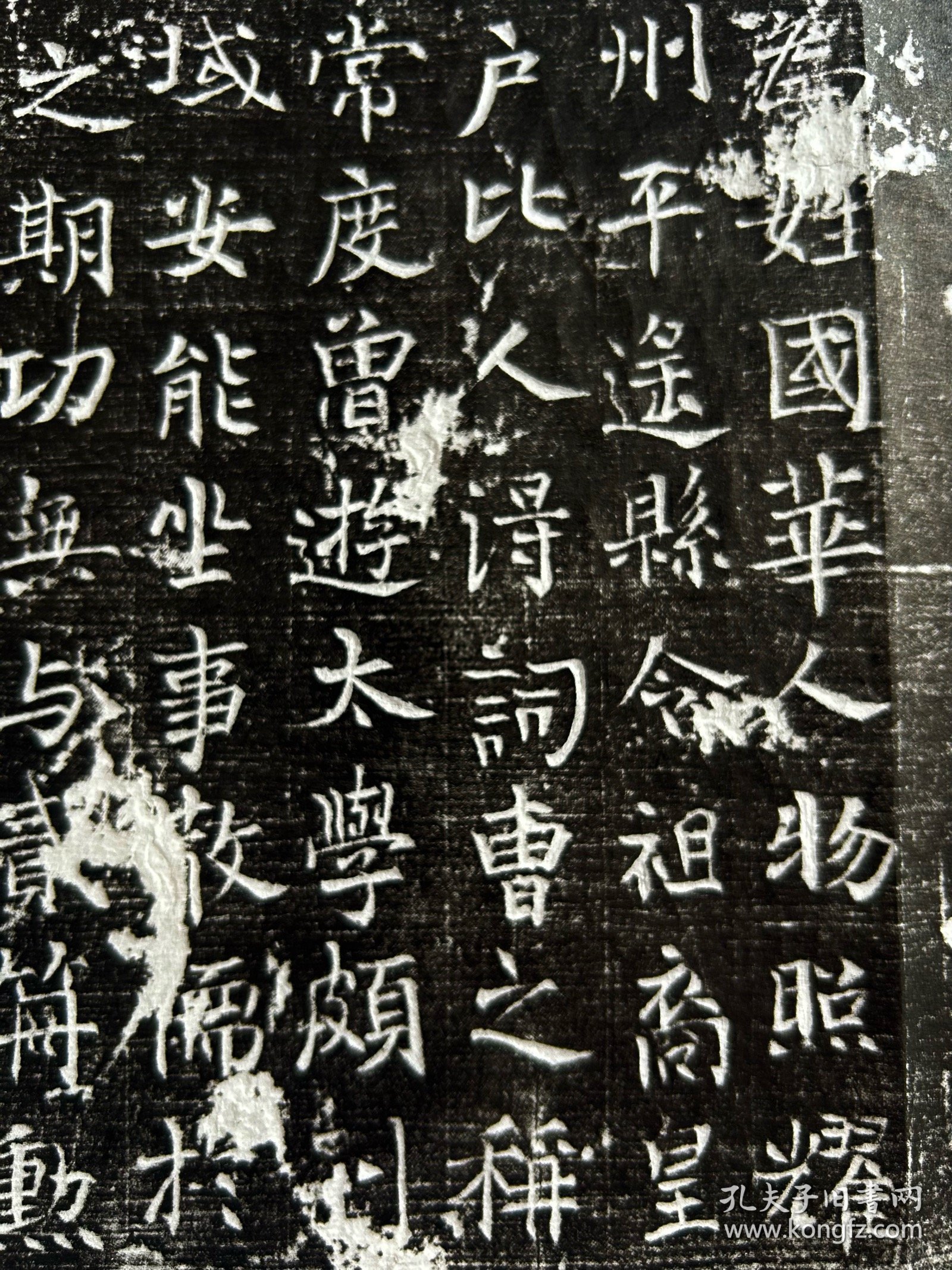 102214、千唐志斋精品：横野军副使樊庭观墓志拓片，墨拓部分68厘米，晋州襄陵县主簿宋务静撰文，仅此一张，所见即所得！ 志主南阳人也，其先出自有周仲山甫，封于樊地，因地为姓。曾祖樊㓻，隋汾州平遥县令，祖樊后裔，皇贝州司户参军事，父樊贞，邢州沙河县令。 志主樊庭观以明经擢第，释褐授昭武校尉，次授□州交水府别将，次授越州浦阳府右果毅都尉，次应举及第，授河南府怀音府右果毅都尉，次