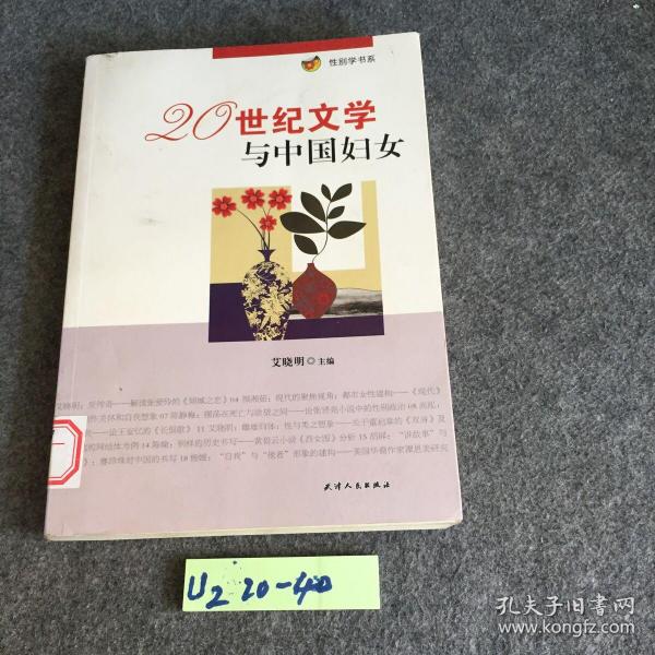 性别学书系：20世纪文学与中国妇女