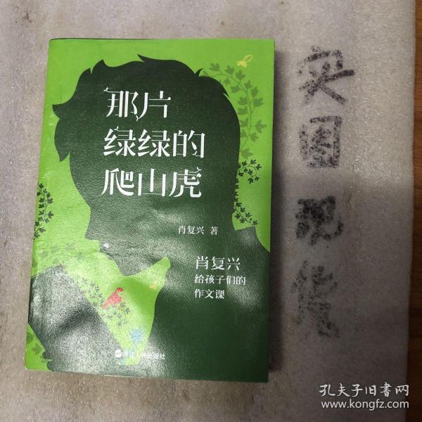 那片绿绿的爬山虎：肖复兴给孩子们的作文课