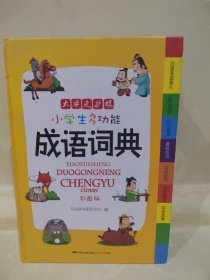 小学生多功能成语词典（彩图版 ）