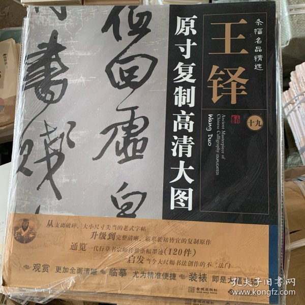 条幅名品精选·原寸复制高清大图：王铎（19）