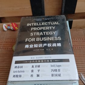 商业知识产权战略（IntellectualPropertyStrategyforBusiness)（汉英对照）