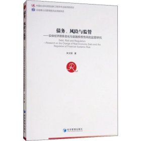 正版 债务、风险与监管——实体经济债务变化与金融系统性风险监管研究 朱太辉 经济管理出版社