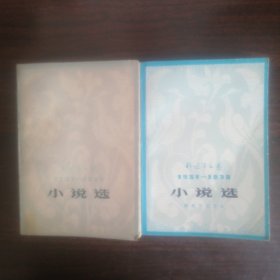 小说选（上下册）
