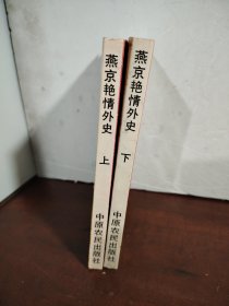 燕京艳情外史.上下册