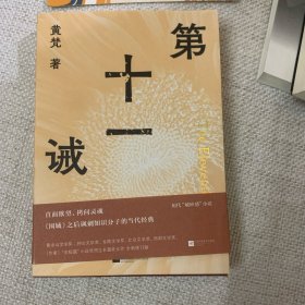 第十一诫 （年轻知识分子的忏悔录 直面欲望、拷问灵魂，《围城》之后讽刺知识分子的当代经典）