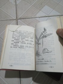 东北常用中草药手册，3本合售